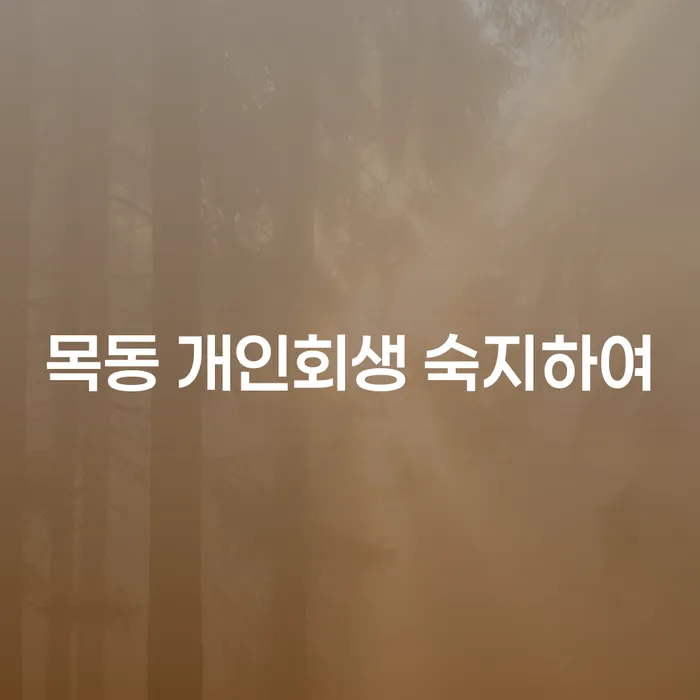 목동 개인회생 숙지하여