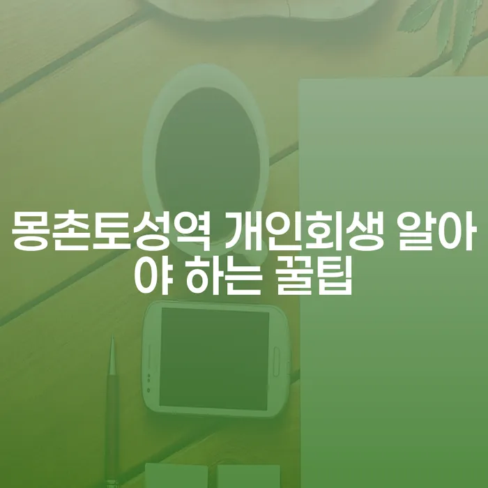 몽촌토성역 개인회생 알아야 하는 꿀팁